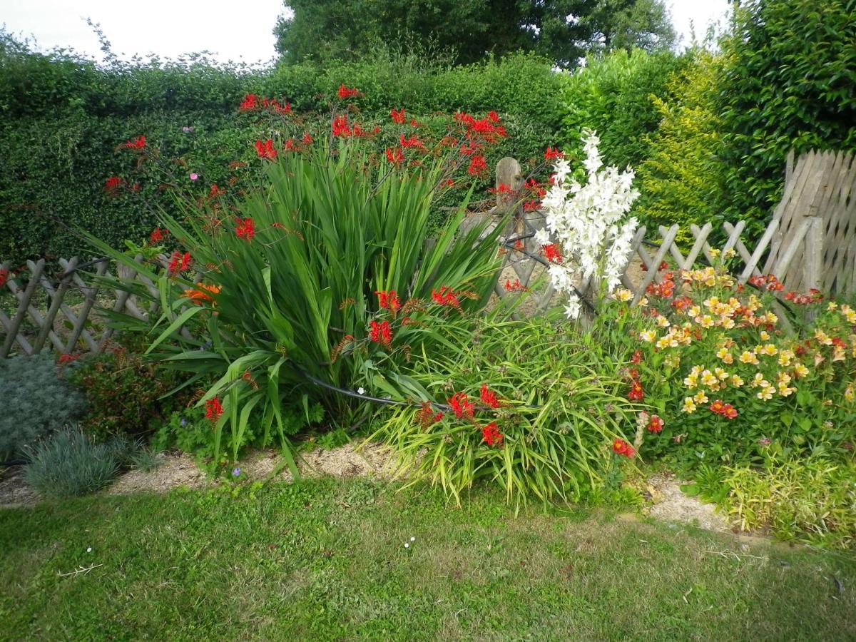Les Terrasses Bed & Breakfast Saint-Paul-en-Pareds ภายนอก รูปภาพ